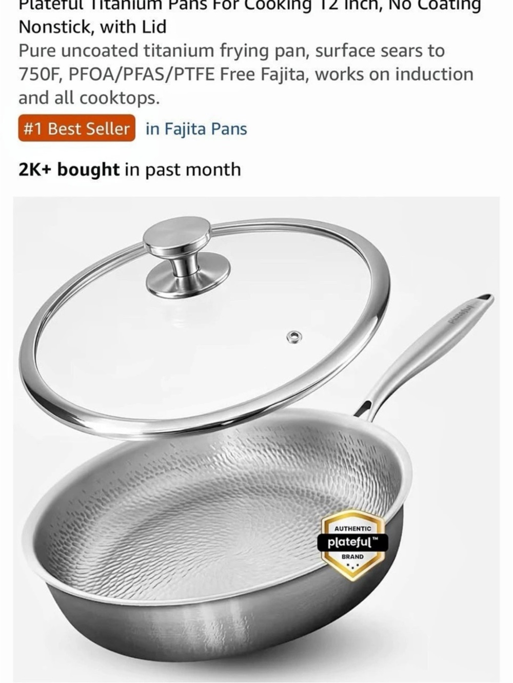 Plateful Titanium Pan 12 Inch with Lid, Silver